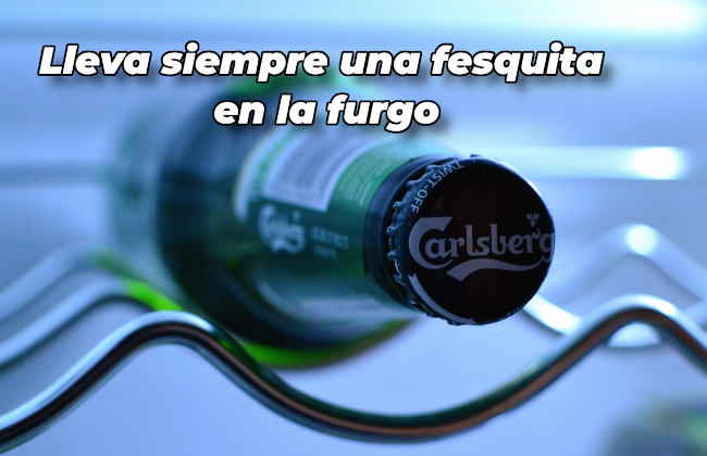 nevera furgo 12v cerveza0